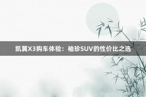 凯翼X3购车体验：袖珍SUV的性价比之选